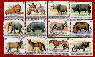 Burundi Stamps Scott 589 - 600 Xf Og Nh Scarce Animal Set Of 12 Cv:$188
