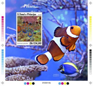 Sao Tome & Principe Fish Stamps 2020 Mnh Fishes Mandarinfish Clownfish 1v S/s