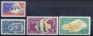 Comoro Islands / Comores 1968 - Fishes - Orientalsweetlips/moorish Idol Hk866i