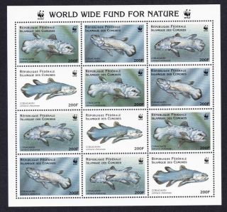 Comoro Is.  Wwf Coelacanth Sheetlet Of 3 Sets Mnh Mi 1261 - 1264 Sc 833 A - D