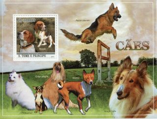 Sao Tome & Principe Dogs Stamps 2010 Mnh Beagle Basenji Chihuahua 1v S/s