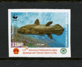 L314 Comoros 2006 Fish Marine Coelacanth Wwf Imperf 1v.  Mnh