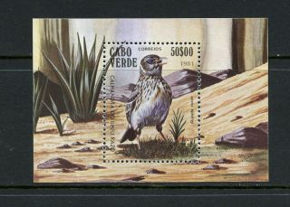 Y646 Cape Verde 1981 Birds Sheet Mnh