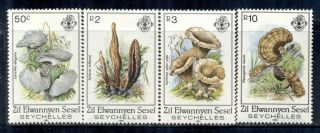 Zil Elwannyen Sesel 92 - 95 Sg95 - 98 Mnh 1985 Mushrooms Set Of 4 Cat$12