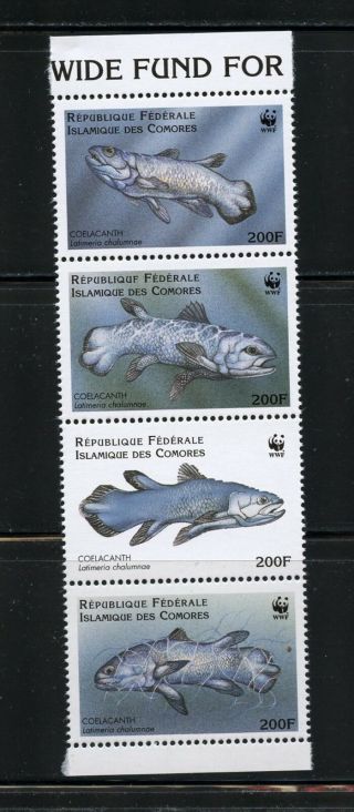 P094 Comoros 1998 Fish Marine Coelacanth Wwf Strip Mnh