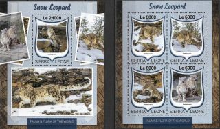 Sierra Leone - 2016 Mnh " Nature - Snow Leopard " Two Souvenir Sheets