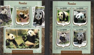 Sierra Leone - 2016 Mnh " Nature - Pandas " Two Souvenir Sheets