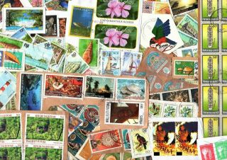 25 Grams Fiji & Pacific Islands Kiloware / Stamp Mixture,  On & Off Paper