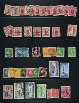 Zealand,  An Accumulation Of Stamps For Sorting,  Mainly.