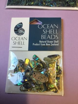 Crafts.  Ocean Shell Laminated Theme Set Fron Zealand.  4 Items. 2