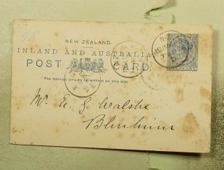 Dr Who 1894 Zealand Kumara Postal Card To Blunheim F31048