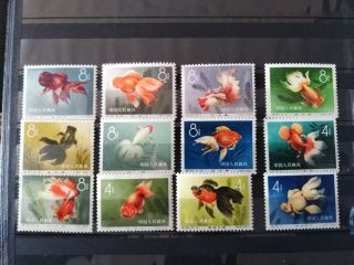 China,  1960,  S38,  Sc 506 - 17,  Goldfish Full Set Mnh,  Gum,  Fresh,