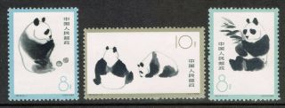 Peoples Republic Of China Scott 708 - 10 Complete Giant Panda Set