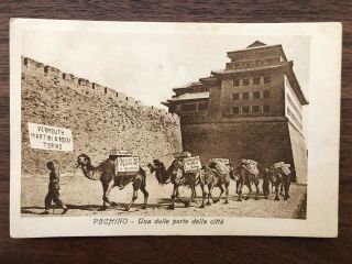 China Old Postcard Chinese Camel Peking City Gate Wall
