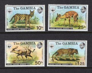 Gambia 1976 Complete Animal Set - Og Mlh - Sc 341 - 344 Cats $50.  50