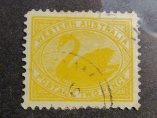 Western Australia Scott 77 Θ Swan - Two Pence Postage Stamp