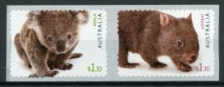 Australia Wild Animals Stamps 2019 Mnh Fauna Pt Ii Wombat Koalas 2v S/a Coil Set