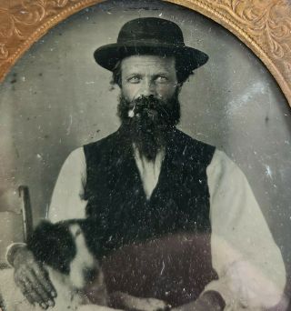 Antique Ambrotype Man W/ Cigar Spaniel Dog Photograph Civil War 19th Century