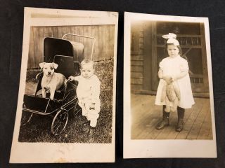 2 Vintage Rppc Real Photo Postcards Boy W/ Dog Girl W/ Steiff Teddy Bear 1912