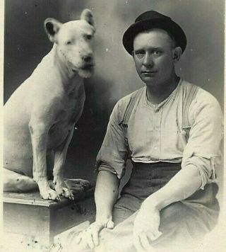 1910 Vintage Dog Rppc Man & Pit Bull Terrier ? " Fast Friends " Real Photo