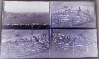Kieffer Ranch Sd 11 Photo Negatives 1913 Horses Etc South Dakota Vtg Old Antique