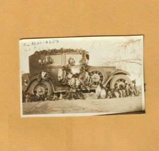 Antique Old Photograph 1934,  96 Mallards,  Ducks,  40 Quail,  Trophies,  Hunting Car