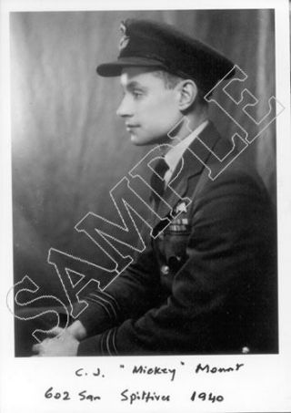 Sttf25 Wwii Ww2 Raf Battle Of Britain Pilot Mount Dso Dfc Signed Photo
