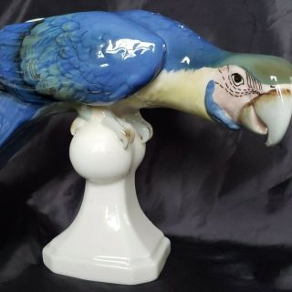 Rare Royal Dux Blue Hand Painted Porcelain Parrot Macaw Figurine Czechoslovakia
