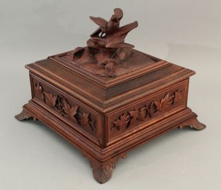 Large Antique German Black Forest Carved Walnut Birds & Leaves Jewelry Box