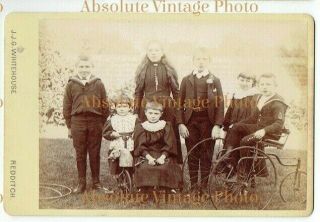 Old Cabinet Photo Childs Velocipede / Tricycle J.  J.  G.  Whitehouse Redditch 1880s