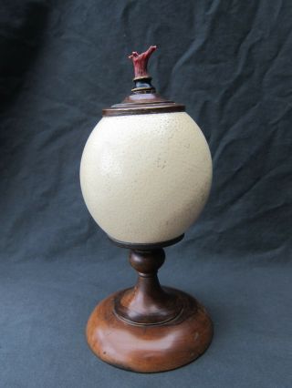 Antique Curiosity Cabinet,  Kunstkammer Mounted Ostrich Egg With Coral
