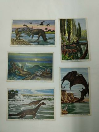 Very Rare Vintage Dinosaur And Prehistoric Animal Postcards From Japan