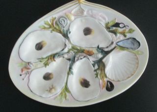 Union Porcelain U.  P.  W.  1881 Oyster Plate 3