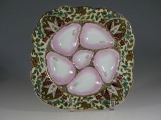 Antique Square Oyster Plate With Gold Floral Chintz And Gold,  Germany C.  1880