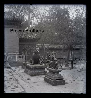 1900s Historic China Palace Courtyard Foo Dog Glass Photo Camera Negative Bb
