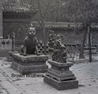 1900s Historic China Palace Courtyard Foo Dog Glass Photo Camera Negative BB 2