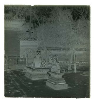 1900s Historic China Palace Courtyard Foo Dog Glass Photo Camera Negative BB 3