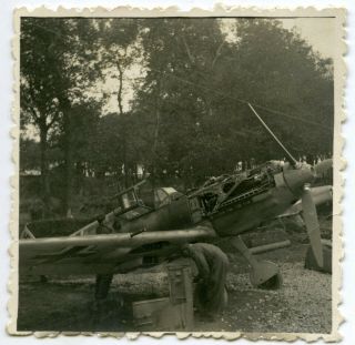 Ww2 German Captured Destroyed Airplane Scrapyard Photo Wwii Me109 (m1)