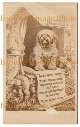 Old Cdv Photo Bow Wow Wow Beware Of The Dog Unless Your Portraits In The Book