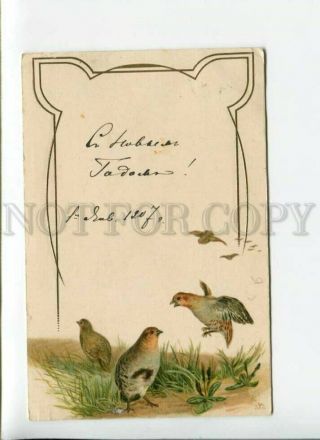3170376 Hunting Partridge Art Nouveau Vintage Embossed Postcard