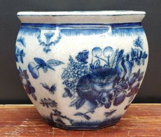 United Wilson 1897 Blue And White Flower Pot Butterfly Butterflies Vintage Bugs