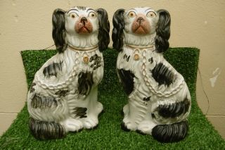 Pair Mid 19thc Staffordshire Black & White Spaniel Dogs No.  3 C.  1860