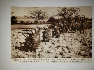French Dragoons France Northern France Field 1914 Ww1 World War 1 Picture