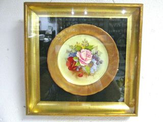 Aynsley J.  Bailey Painted Rose Pink In A Frame With Glass And Frame Plate