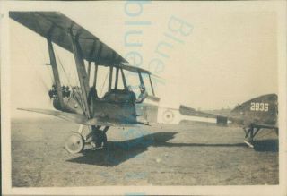 Ww1 1918 Rfc Royal Flying Corps Lt J F Young Back Of Avro 504a Aircraft Photo