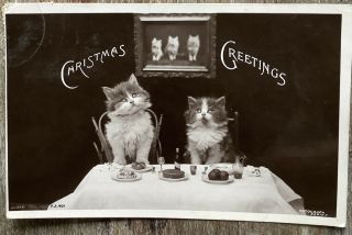 Rppc Christmas Greetings Vintage Real Photo Postcard Cats Kittens Dinner Table