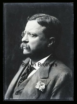 1900s President Theodore Roosevelt Profile Portrait Glass Photo Negative Bb