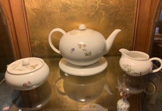 Vintage Nymphenburg Porcelain Tea Set - Service For Ten (10)