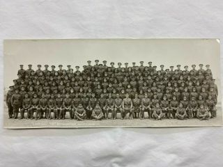 Ww1 Canadian Cef 100th Battalion C Company Photo Camp Hughes 1916