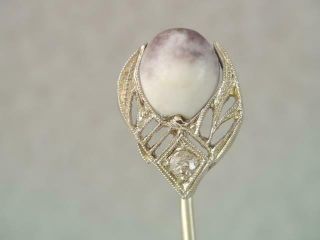Antique Victorian Solid 18k White Gold & Diamond Cowrie Shell Stick Pin Filigree
